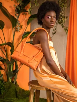 Colette S Pastel - Apricot