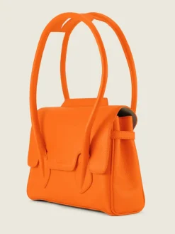 Colette S Sorbet - Mango